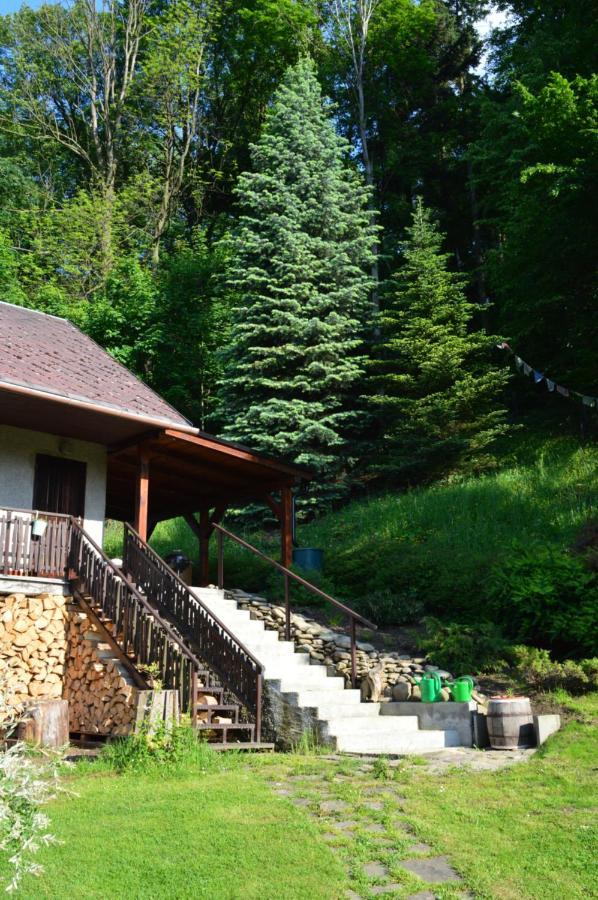 Dobra Chata V Dobre Villa Frydek-Mistek Exterior photo