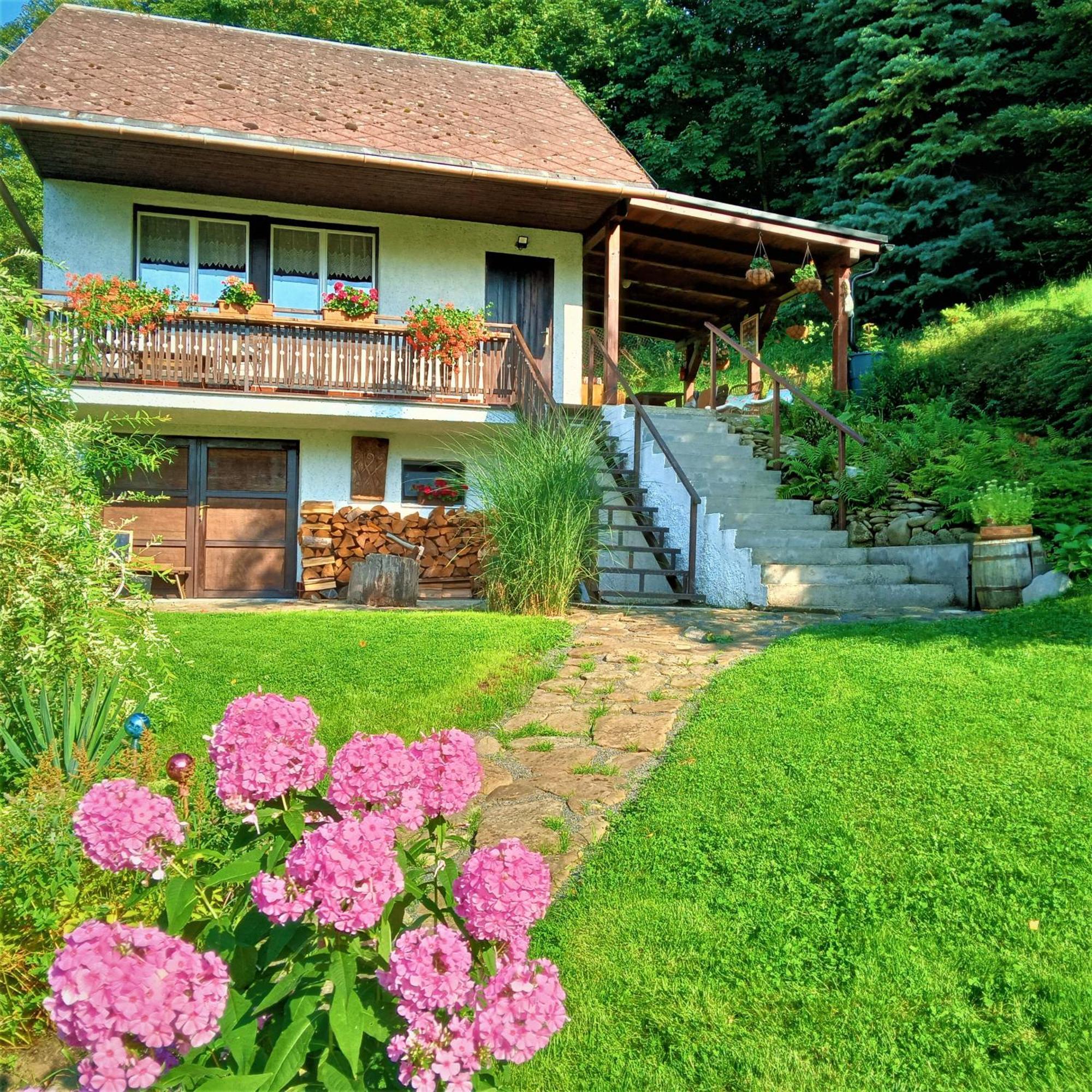 Dobra Chata V Dobre Villa Frydek-Mistek Exterior photo